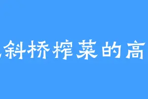 爱吃斜桥榨菜的高宏伟