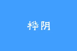桦阴