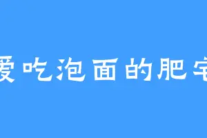 爱吃泡面的肥宅