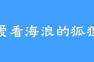 爱看海浪的狐狸