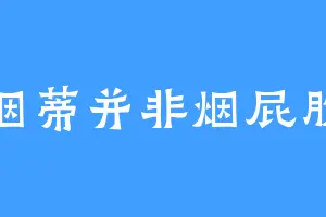 烟蒂并非烟屁股