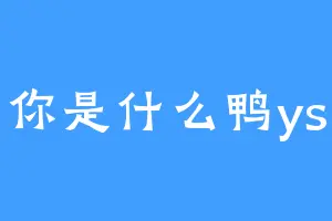 你是什么鸭ys