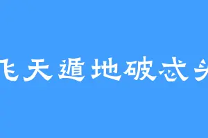 飞天遁地破忒头