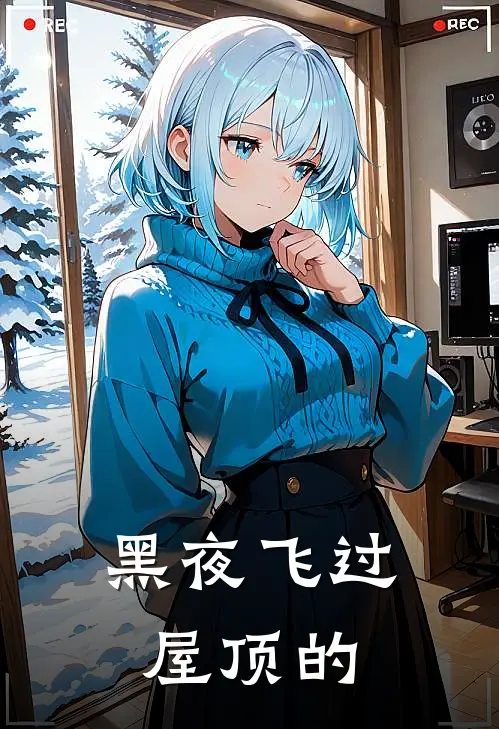 黑夜飞过屋顶的