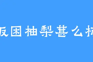 饭困柚梨葚么柿