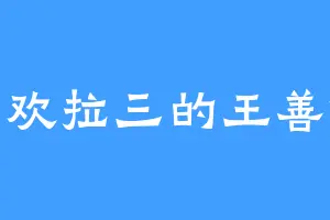 喜欢拉三的王善保