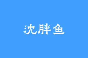 沈胖鱼