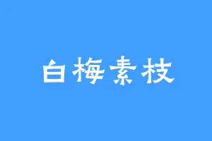 白梅素枝