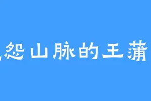 魔怨山脉的王蒲忱