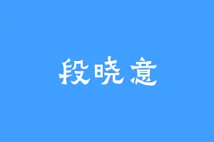 段晓意