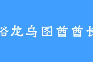 裕龙乌图酋酋长