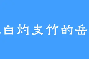 爱吃白灼支竹的岳建军