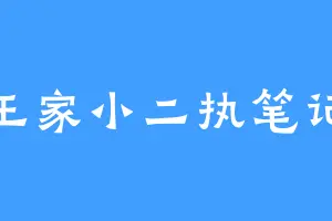 王家小二执笔记
