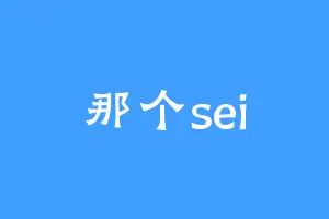那个sei
