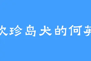 喜欢珍岛犬的何英弘