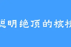 聪明绝顶的核桃