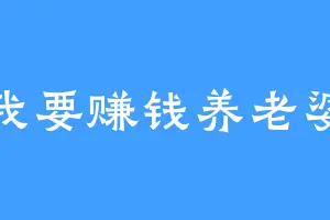 我要赚钱养老婆