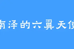 南泽的六翼天使