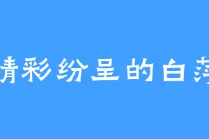 精彩纷呈的白萍