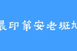 晨印第安老斑鸠