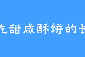 爱吃甜咸酥饼的长绫